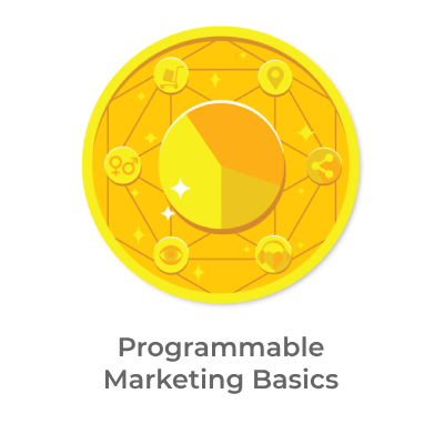 Programmable-marketing-basics